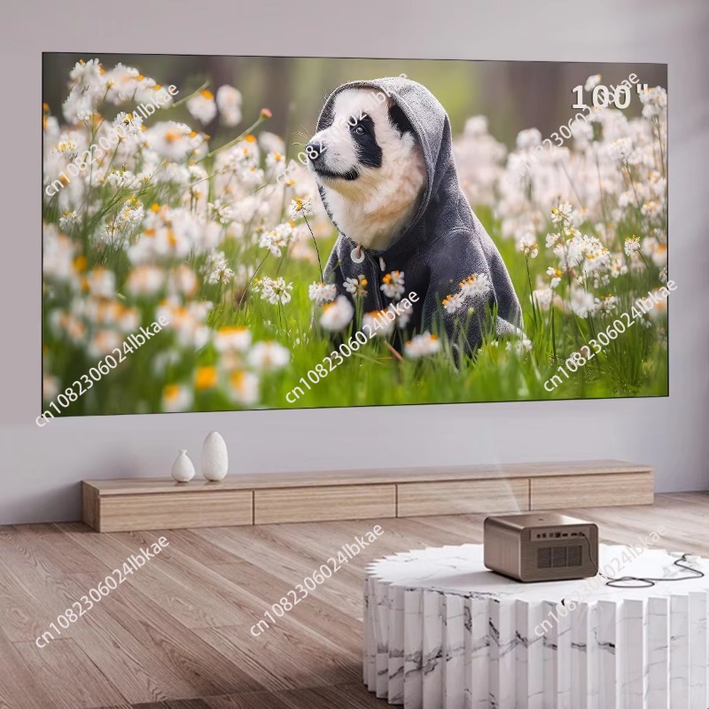 100inch fixed frame 16:9 proje - огляд і ціна Projector Screen 100 Inch